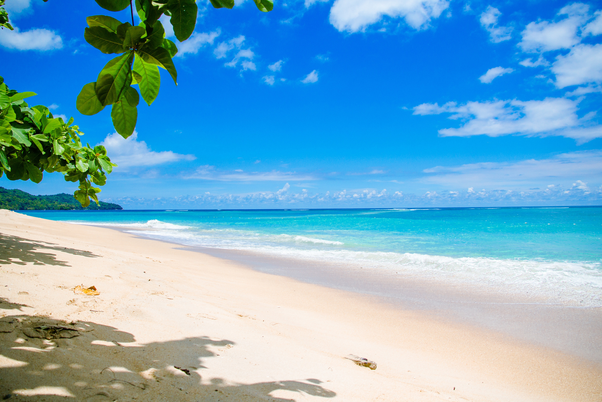 Beautiful Beach View